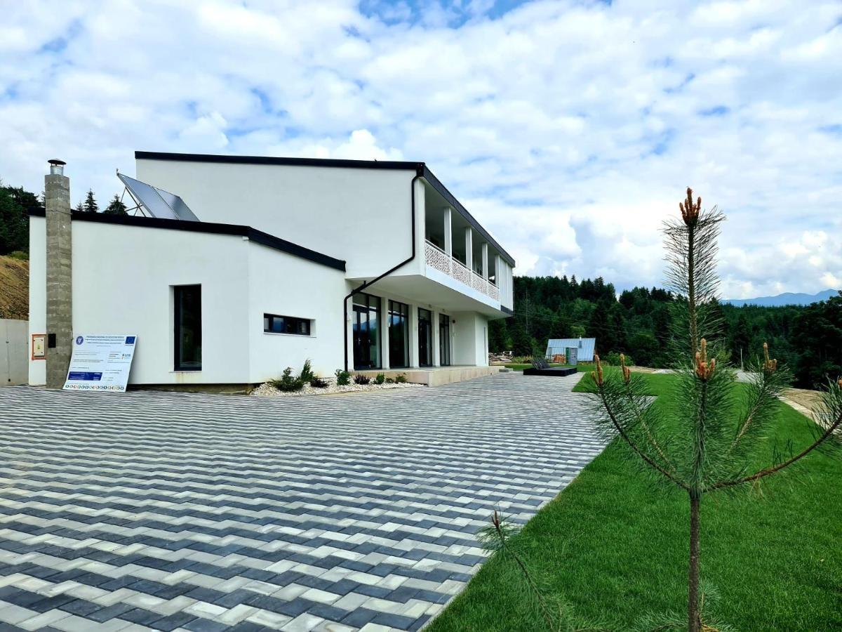 Pensiunea Ddc Kolibica Kültér fotó